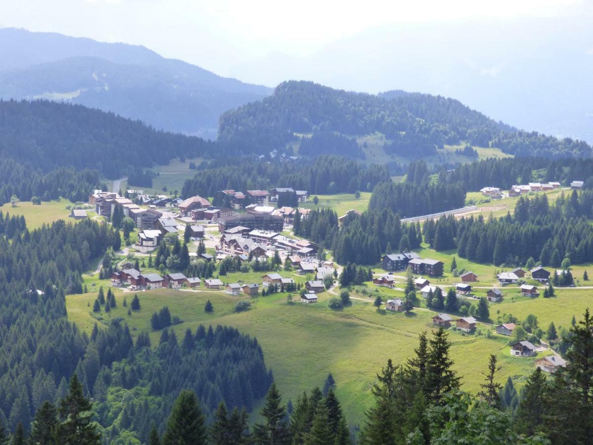 Le Genepi Apartment Taninges Exterior photo